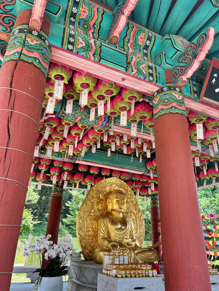 SEOUL TRIP