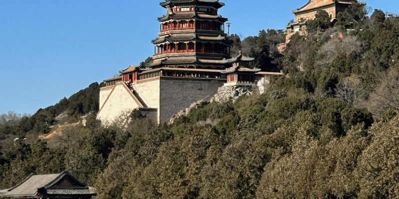 TRAVEL BLOG: Orelia Visits Seoul & China