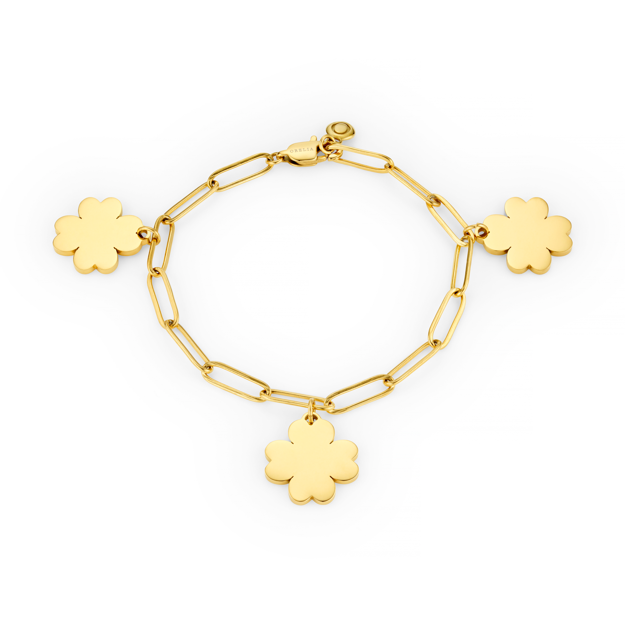 Charm Bracelets