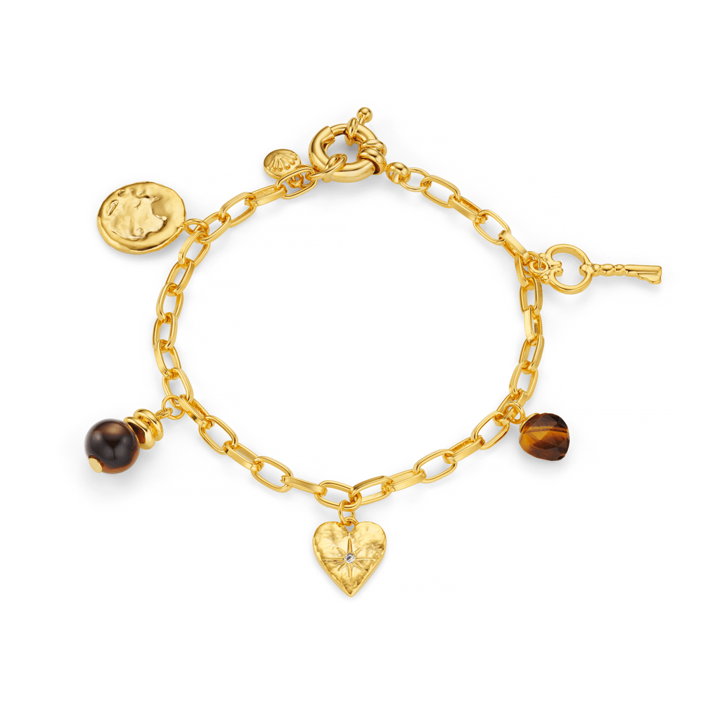 Charm Bracelet Mixed Charm & Tigers Eye Bracelet Orelia Jewellery