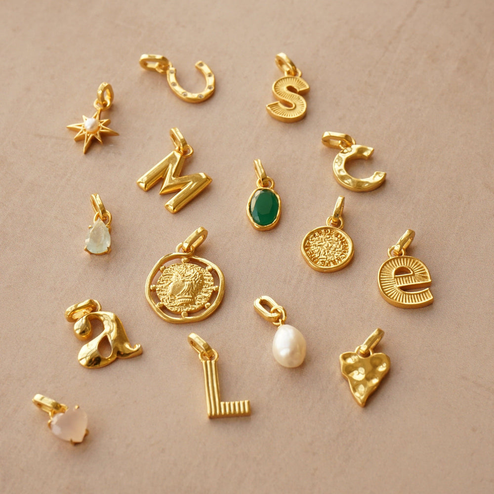 Charms LUXE Coin Charm Orelia Jewellery