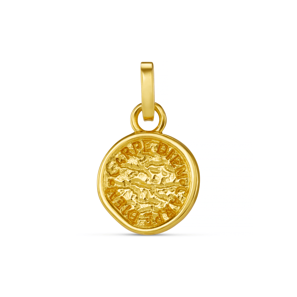 Charms LUXE Coin Charm Orelia Jewellery