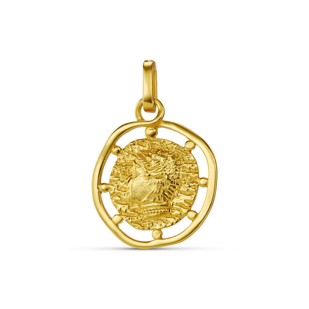 Charms LUXE Medallion Coin Charm Orelia Jewellery