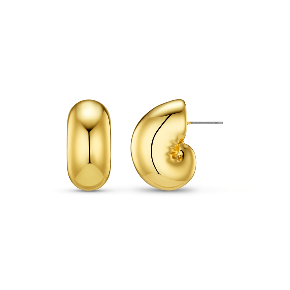 Statement Earring Polished Ammonite Domed Studs Orelia Jewellery