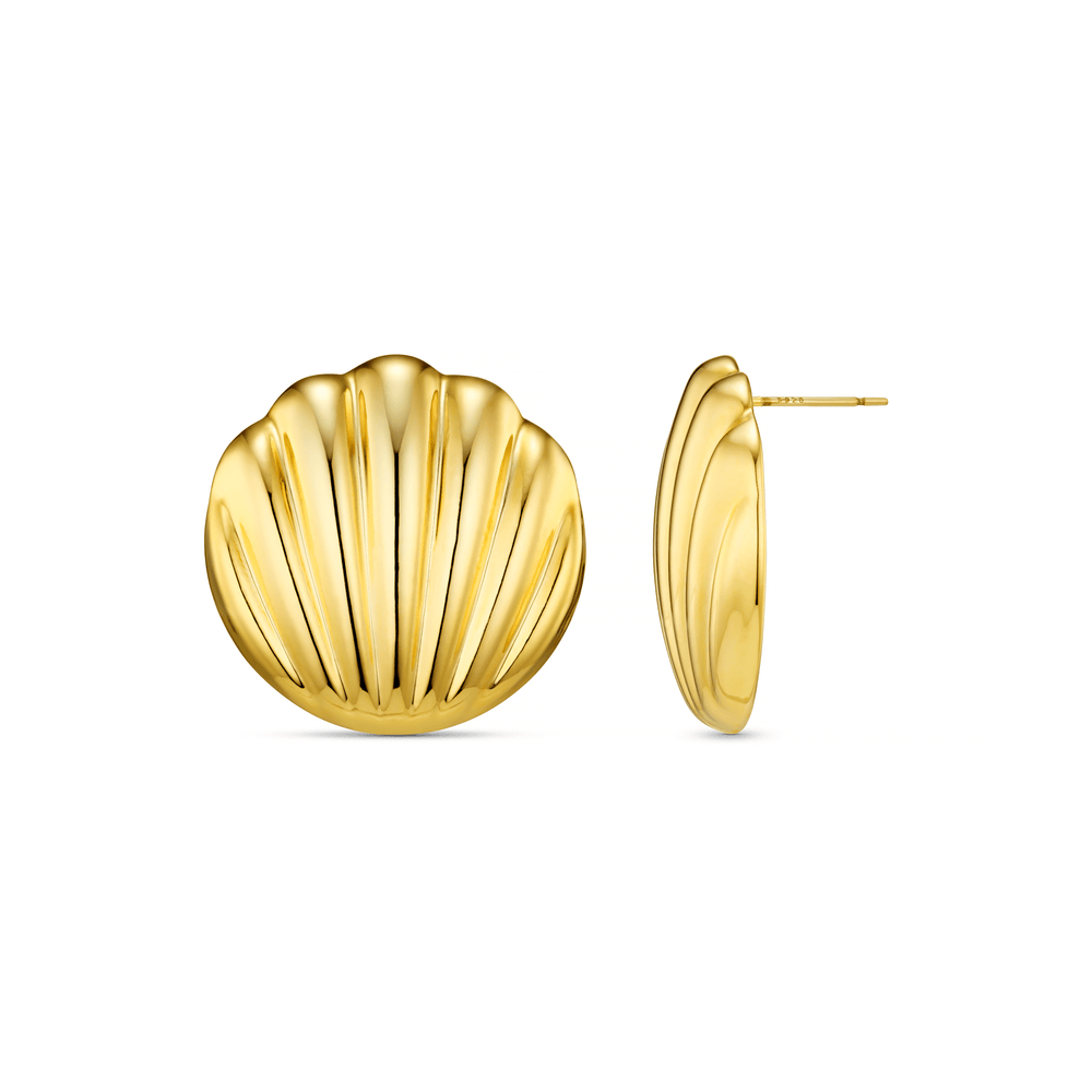 Statement Earring Statement Polished Shell Studs Orelia Jewellery