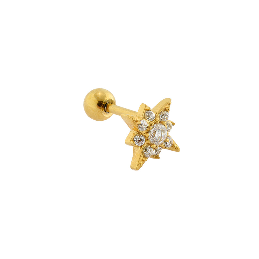 Piercing & Cartilage Earrings
